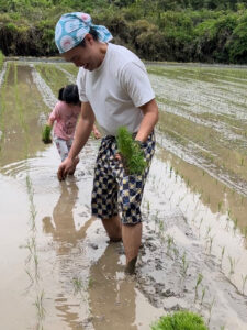 茨城で家族と田植え体験をする様子とホームページ集客の考え方